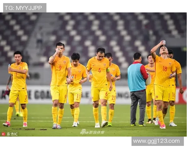 中国足球明星背后的故事与成就全揭秘，探索他们的成长与奋斗历程