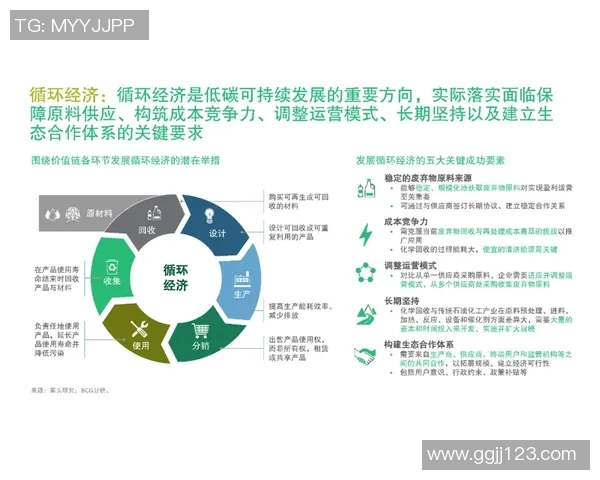 深圳乒乓球队转型之路的挑战与机遇全景分析